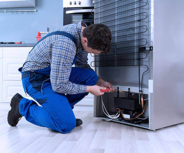 Refrigerator Repair Service in Mayur Vihar